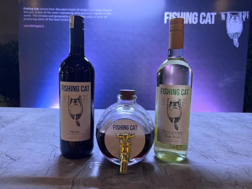 Brands and spirits X Fishing cat